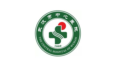 武漢市中心醫院